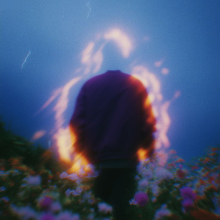 The Words You Never Said